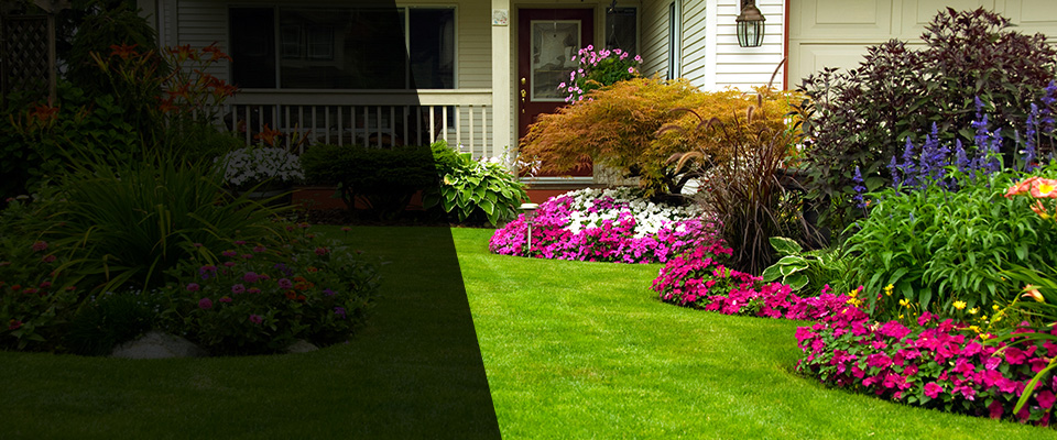 Addis Landscapers