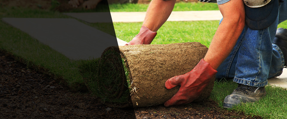 Addis Landscapers